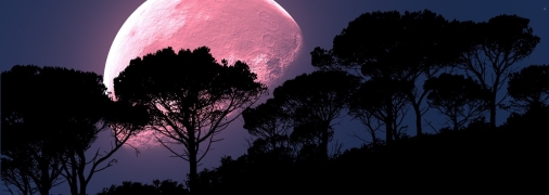 Місяць стане повним у ніч на 31 серпня