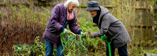 Осінь – підготовка саду до зими
