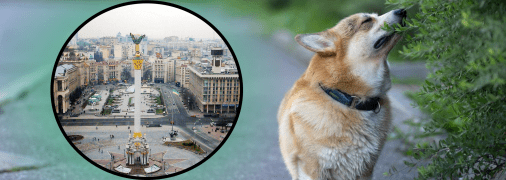 Погода в Киеве