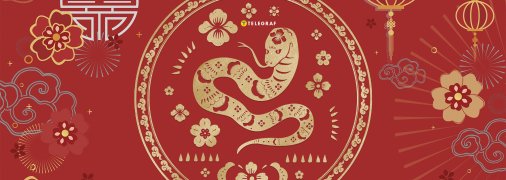 Рік Дракона для Змії принесе успіх