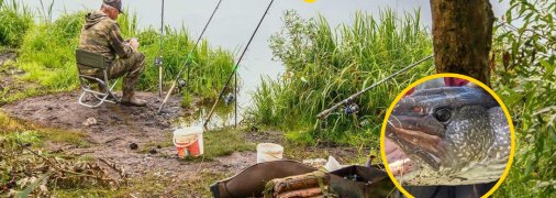 Усім би таку вдалу риболовлю