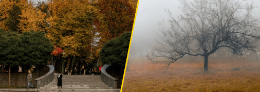 Последние крошки тепла: каким областям повезет с погодой во вторник, 26 ноября