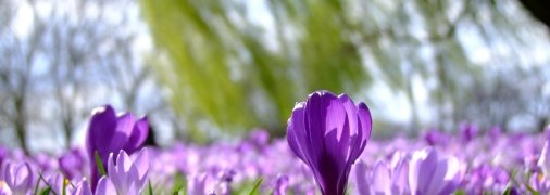 В Украине ожидается теплая погода