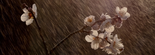 Прогноз погоди в Україні