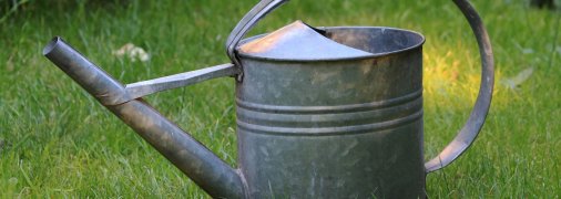 Поливати город перекисом водню дуже корисно для землі