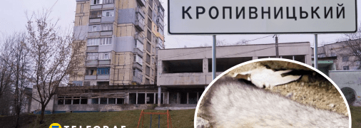 Колаж "Телеграфу"