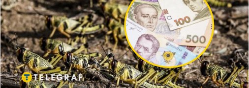 Сарана заполонила нашу країну