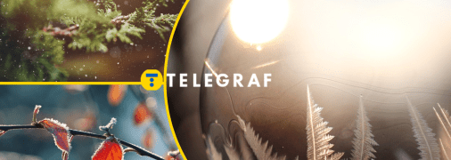 Погода в Украине зимой