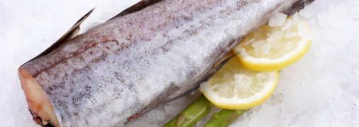 Как правильно выбрать минтай