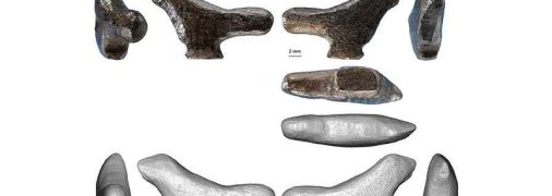 В Китае нашли древнейшую в Юго-Восточной Азии статуэтку птицы