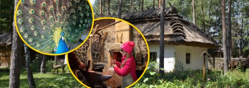 Райский уголок под Киевом