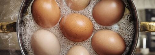 Воду из-под яиц можно широко использовать в обиходе (изображение создано с помощью ИИ)