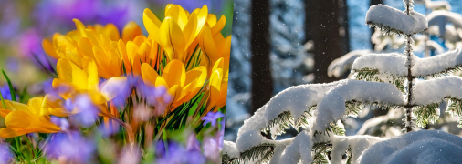 Зимова погода навесні