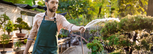 Бур’яни – величезна проблема у будь-якому сезоні