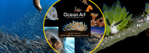 Ілюстративне фото