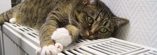 Цьогоріч у домівках українців буде холодніше, аніж зазвичай