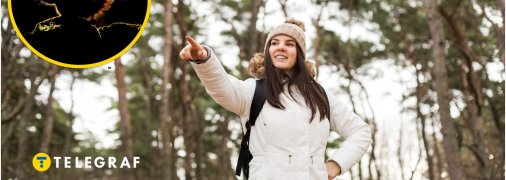 Девушка в лесу