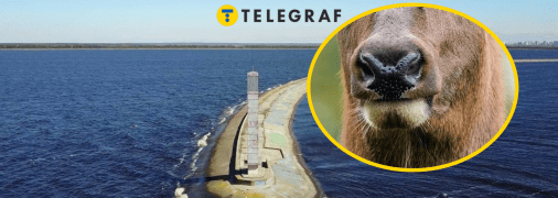 Київське водосховище