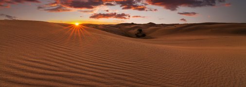 "Олешківські піски"