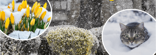 Погода в Україні