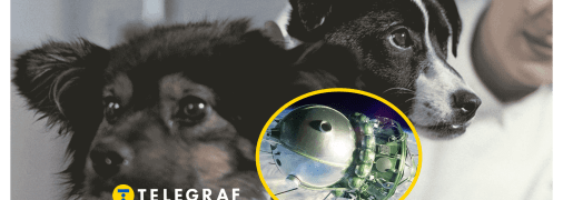 Ілюстративне фото