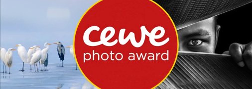 Ілюстративне фото