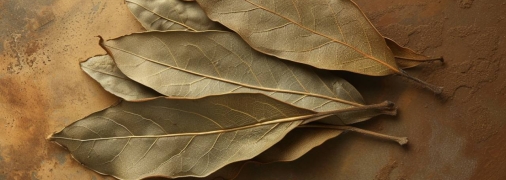 Дієвий спосіб залучити гроші (фото створене з допомогою ШІ)