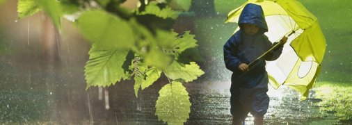 Народный синоптик рассказал, когда в Украину придет летняя жара