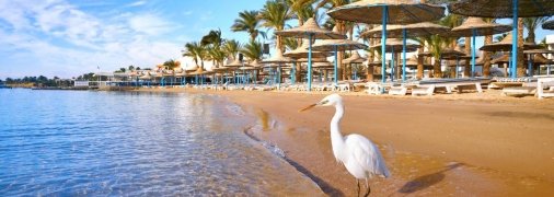 Мест для отдыха в Египте станет еще больше