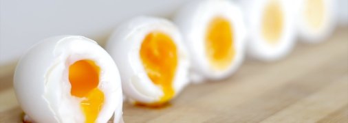 Яєчний жовток — концентрат корисності