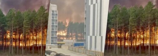 Лісові пожежі в Амурській області