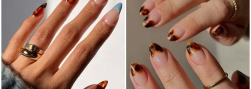 Модний принт а-ля черепаха