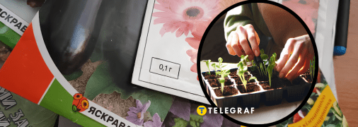 Скільки може зберігатися насіння до посадки