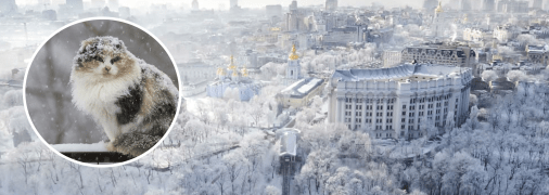 Зима в Киеве