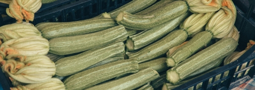 Кабачки также требуют особенного ухода