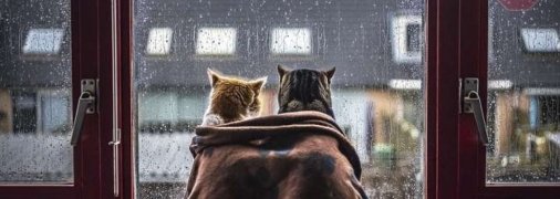 Тепліше не стане