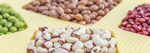 Пророщування квасолі вдома — зовсім не складна справа