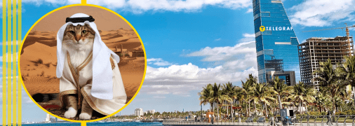 Кіт у Джидді