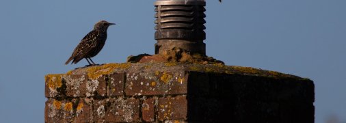 Как почистить дымоход так, чтобы не лезть на крышу