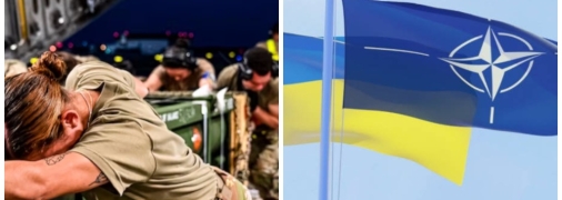 Военная помощь актуальнее для Украины, чем вопрос вступления в НАТО