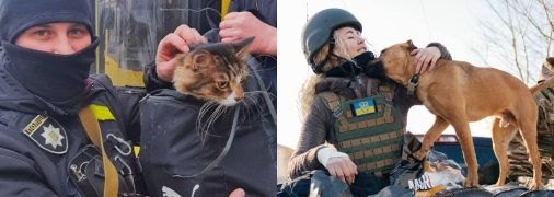 Українці не забувають про гуманність і рятують життя не лише людей, але й тварин