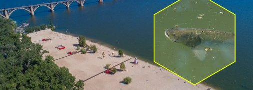 Пляж на Монастырском