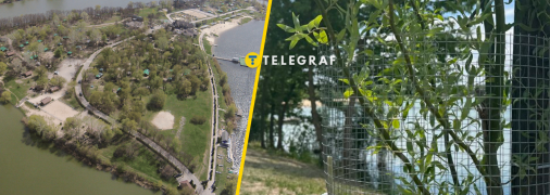 Сітки мають захистити дерева