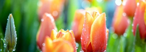 Прогноз погоды на ближайшие несколько дней