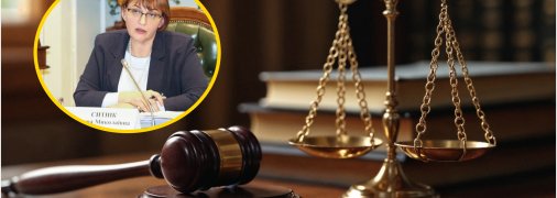 Що відомо із декларації Олени Ситнік