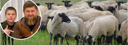 Син Рамзана Кадирова