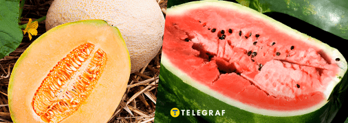 Посев арбузов и дынь 2025