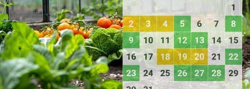 В марте уже можно приступать к планировке посевного сезона