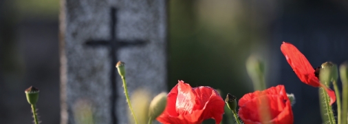 Невибагливі квіти для кладовища