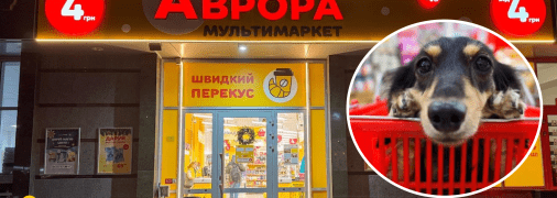 Аврора и собака